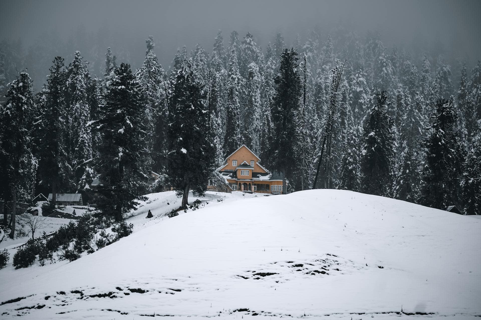 Kashmir image